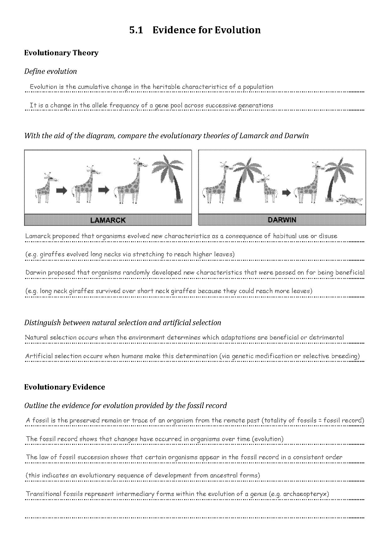 fossil evidence of evolution worksheet answer key