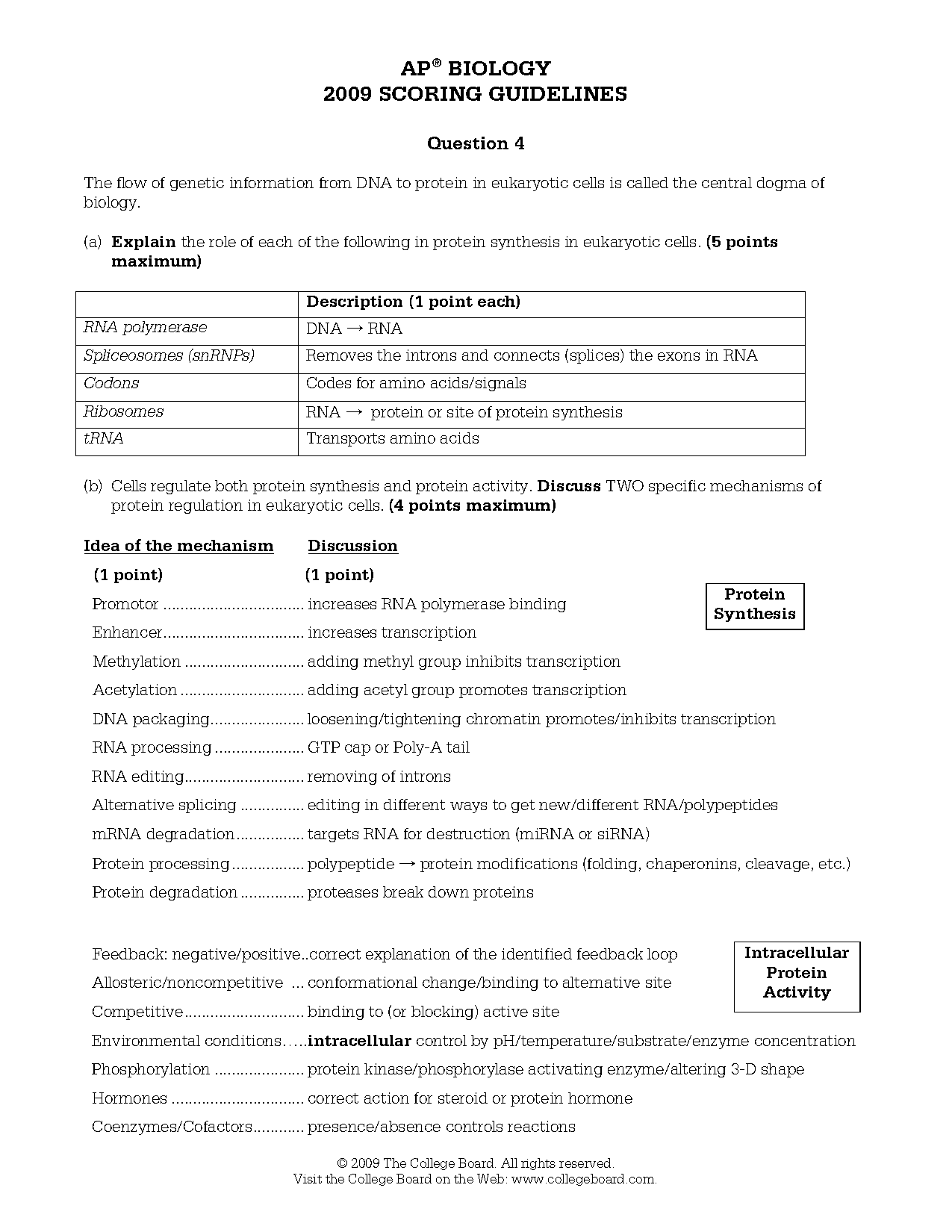 define transcription translation biology