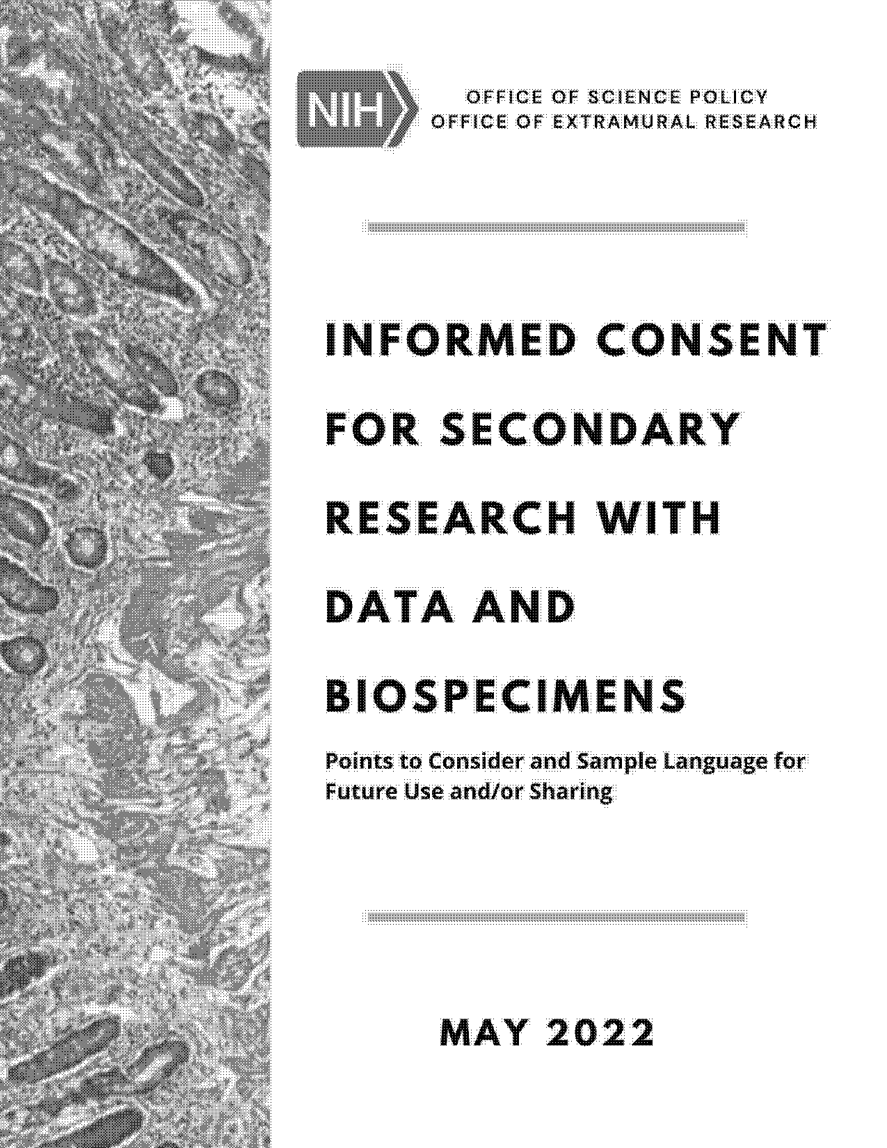 recommendations for future researchers sample